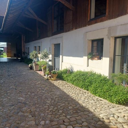 Cote Cour Bischwihr Colmar Bed & Breakfast Bagian luar foto