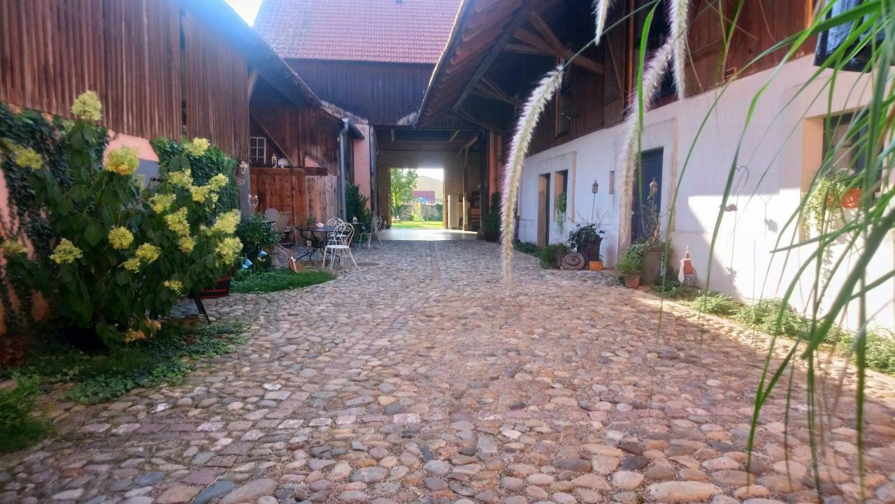Cote Cour Bischwihr Colmar Bed & Breakfast Bagian luar foto